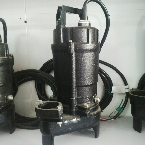 Máy bơm Tsurumi 50UT2.75